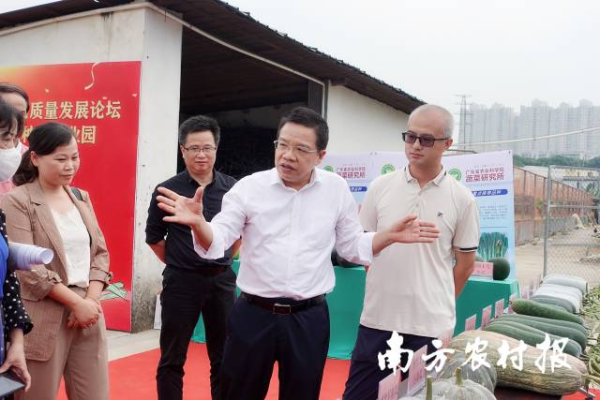 廣東省農(nóng)業(yè)科學(xué)院副院長張名位（右二）到現(xiàn)場指導(dǎo)工作 