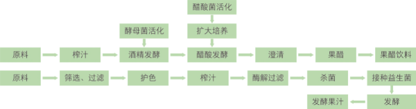 果蔬發(fā)酵制品加工技術(shù) (1).jpg