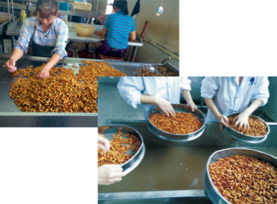 鮮繭繅絲蠶蛹即食和調(diào)理食品加工技術(shù).jpg