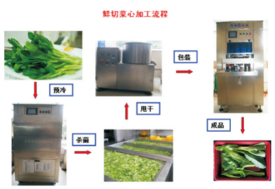 果蔬鮮切加工技術(shù).jpg