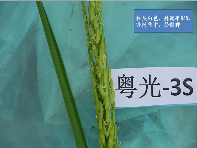 圖片說(shuō)明