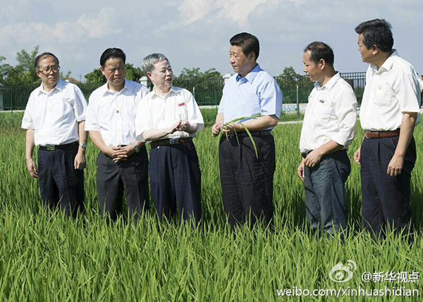 圖片說明
