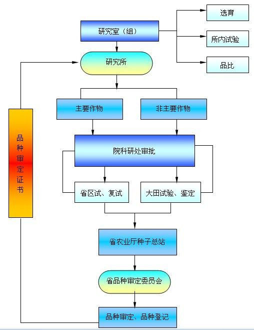 圖片說(shuō)明