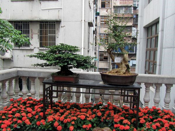 圖片說(shuō)明