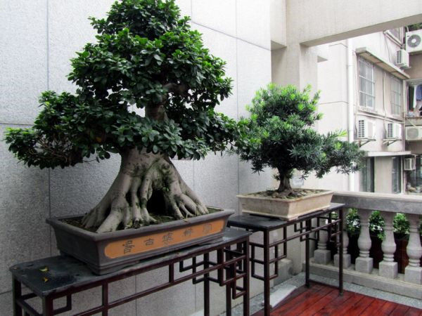 圖片說(shuō)明