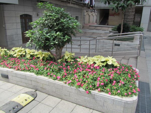 圖片說(shuō)明