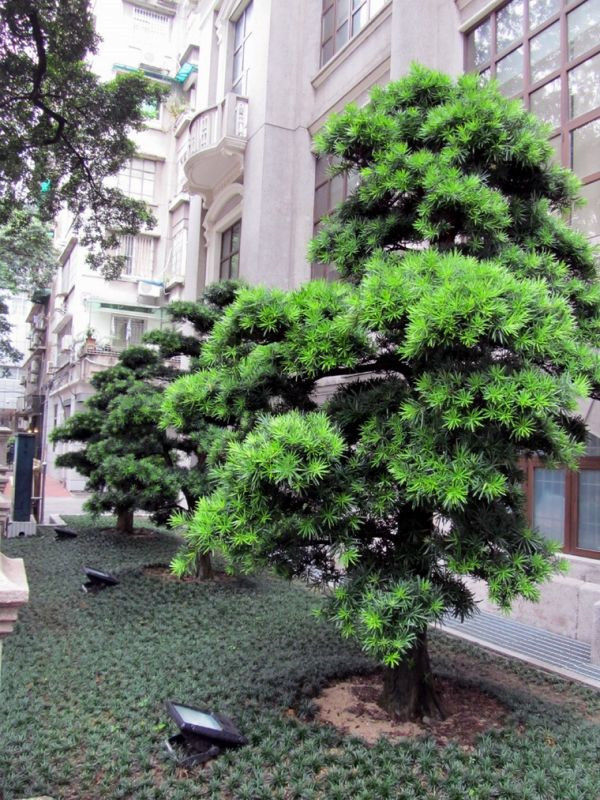 圖片說(shuō)明