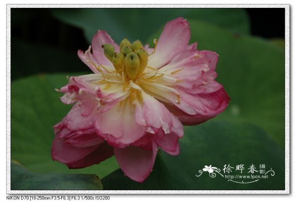 圖片說(shuō)明