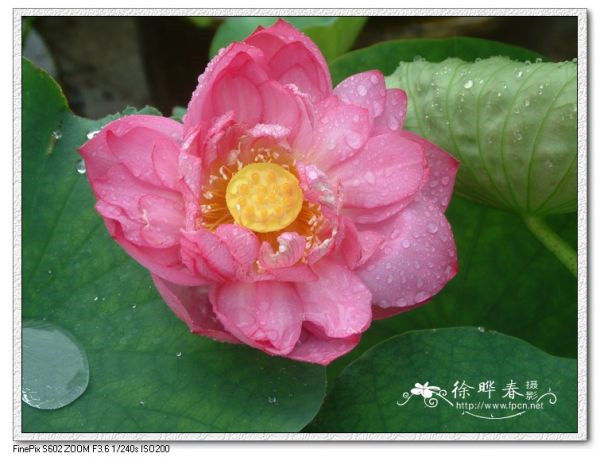 圖片說(shuō)明