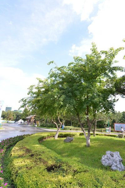 圖片說(shuō)明