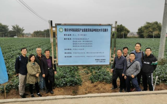 高效栽培技術(shù)示范展示