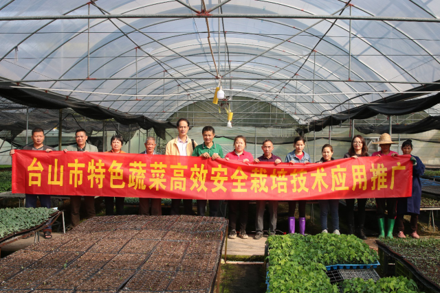 省農(nóng)科院蔬菜所專家在育苗基地與工人們合影。