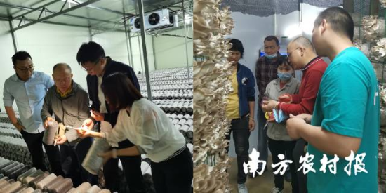 何煥清在基地講解技術細節(jié)