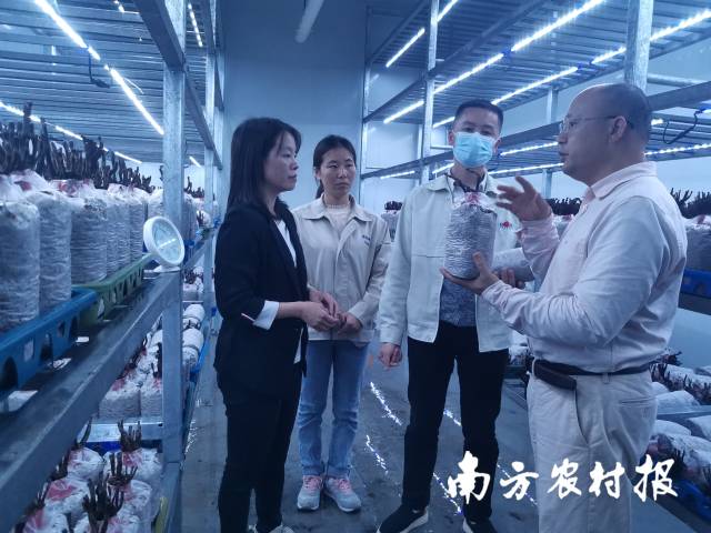 何煥清（右一）、肖自添（左一）到韶關(guān)市星河生物科技有限公司進(jìn)行技術(shù)指導(dǎo) 