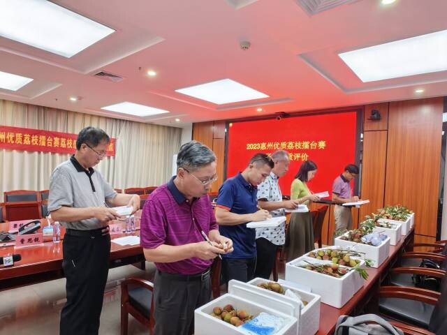 2023惠州優(yōu)質荔枝擂臺賽_1