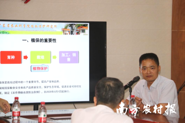 廣東省農(nóng)科院植保所副研究員凌金鋒