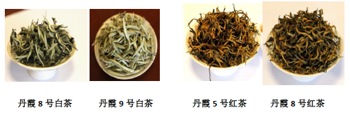 圖片說(shuō)明