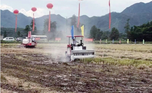 推廣集成技術(shù)模式　帶動農(nóng)戶參與酸土治理