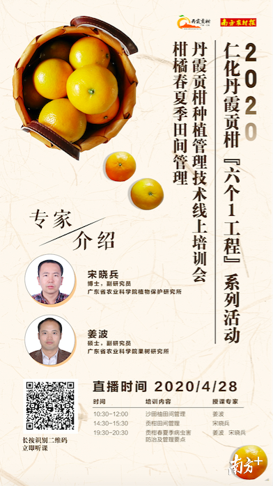 可識(shí)別二維碼進(jìn)行回看。