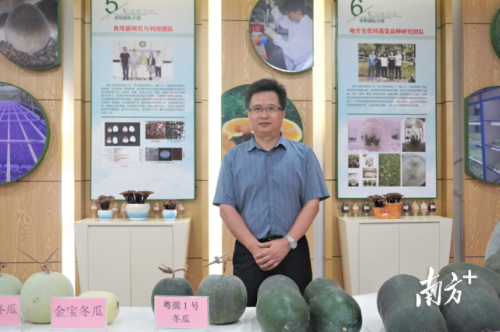  廣東省農(nóng)業(yè)科學(xué)院蔬菜研究所所長(zhǎng)、博士、研究員謝大森