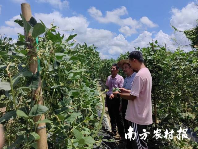 受訪者供圖