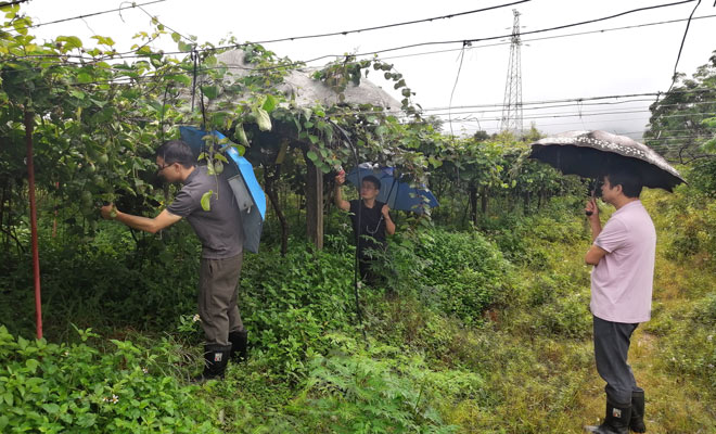 植保所農(nóng)村科技特派員赴河源開展科技服務(wù)66062.jpg
