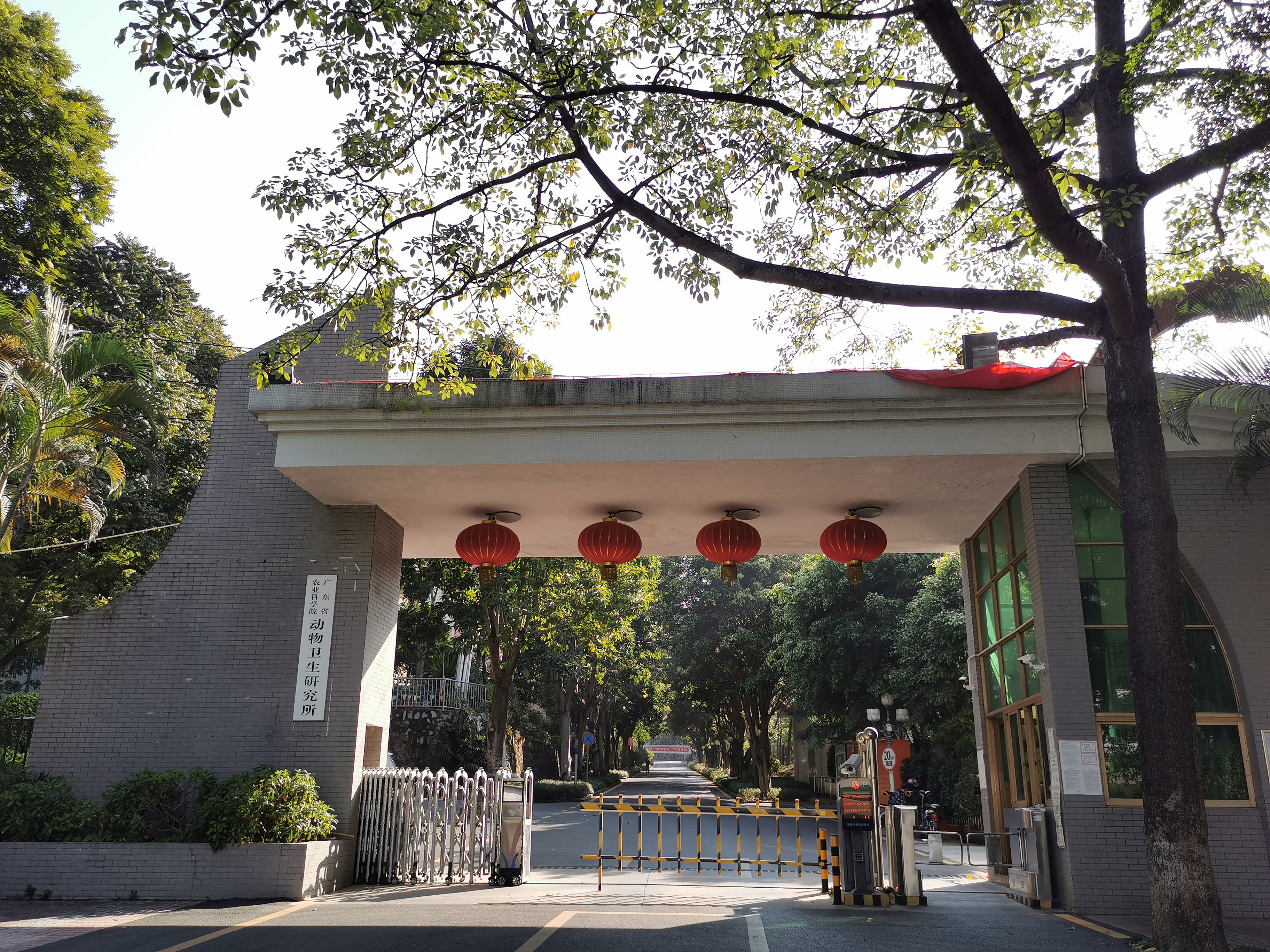 動(dòng)衛(wèi)所門(mén)口.jpg