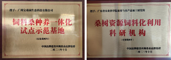sda副本.jpg
