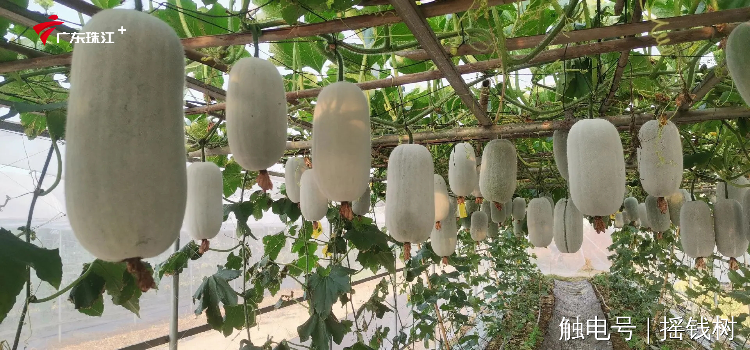 文章配圖