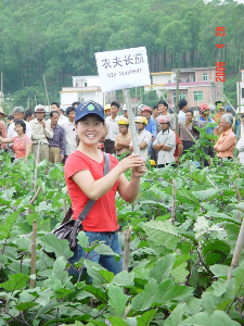 蔬菜所茄果類研究團隊研究員孫保娟剛?cè)肼殨r在田間推廣“農(nóng)夫”長茄。