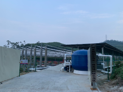 廣州發(fā)展新能源廣州花都炭步漁光一體項目