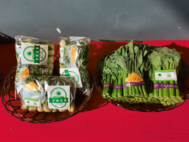 活動現(xiàn)場展示的蔬菜產(chǎn)品。