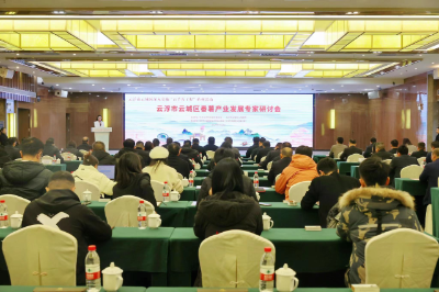 云浮市云城區(qū)深入實施“百千萬工程”系列活動暨番薯產業(yè)發(fā)展專家研討會現(xiàn)場。