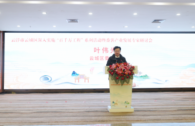 云浮市云城區(qū)委書記葉偉光致辭。