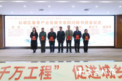 六位專家獲聘為云城區(qū)番薯產業(yè)發(fā)展專家顧問。