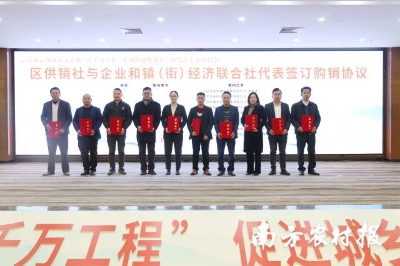云城區(qū)供銷社與企業(yè)和鎮(zhèn)（街）經濟聯(lián)合社簽訂購銷協(xié)議。  