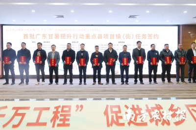 首批廣東甘薯提升行動重點縣項目鎮(zhèn)（街）任務簽約。