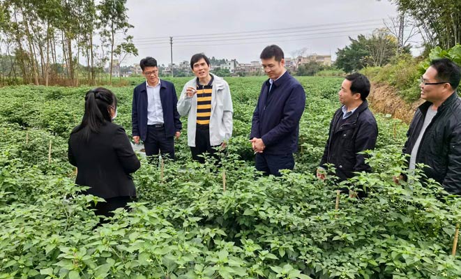 植保所赴高州、信宜開展“百千萬工程”需求調(diào)研及植?？萍挤?wù)660.jpg