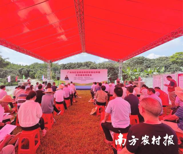 廣州市豇豆綠色防控標(biāo)準(zhǔn)化種植示范基地現(xiàn)場(chǎng)會(huì)
