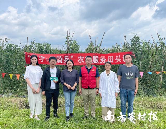 輕騎兵田頭課講解豇豆綠色種植標(biāo)準(zhǔn)化技術(shù)