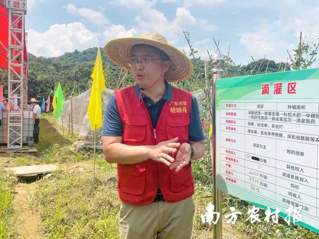 廣東省農(nóng)業(yè)科學(xué)院農(nóng)業(yè)質(zhì)量標(biāo)準(zhǔn)與監(jiān)測(cè)技術(shù)研究所副研究員黃健祥評(píng)價(jià)豇豆生產(chǎn)安全用藥效果