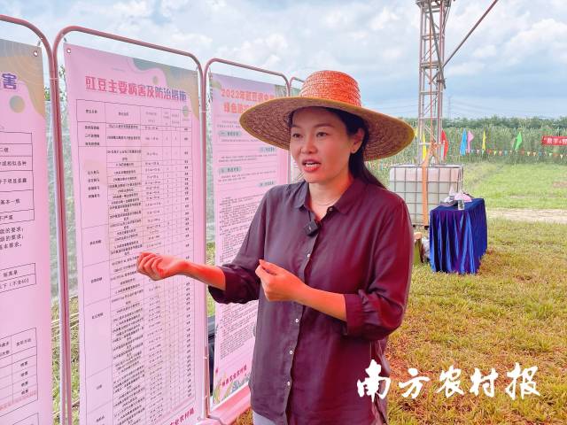 廣東省農(nóng)業(yè)科學(xué)院農(nóng)業(yè)質(zhì)量標(biāo)準(zhǔn)與監(jiān)測(cè)技術(shù)研究所所長(zhǎng)王旭介紹豇豆綠色種植標(biāo)準(zhǔn)化示范成果