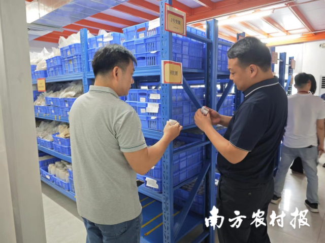 檢查組專家正在仔細(xì)檢查樣品標(biāo)簽