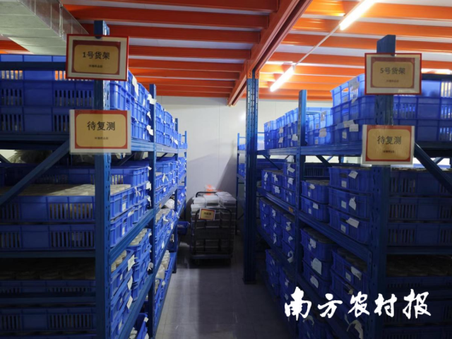陳列的土壤樣品