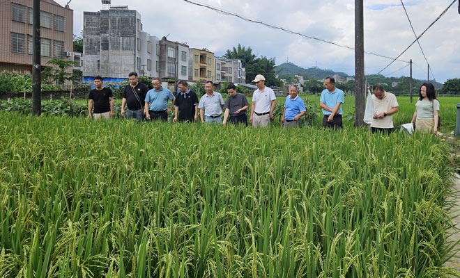 植保所到信宜市開展“百千萬工程”調研及植??萍挤誂66.jpg