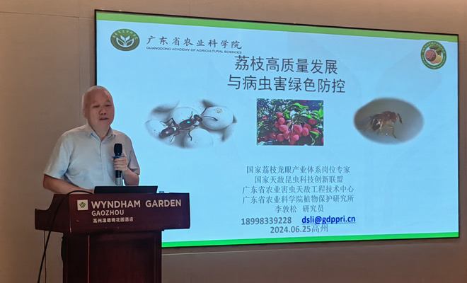 植保所到高州市開展“百千萬工程”調(diào)研及技術(shù)培訓(xùn)6602.jpg