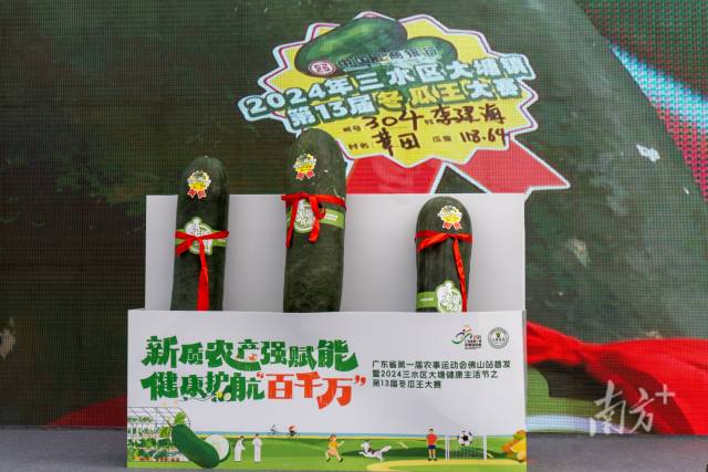 獲特等獎(jiǎng)的3個(gè)“冬瓜王”，最重的達(dá)約120斤。