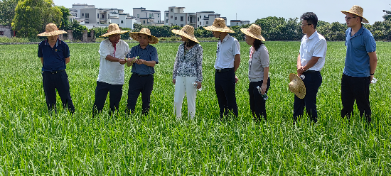 植保所到高州、電白開展“百千萬工程”科技對接服務(wù).jpg