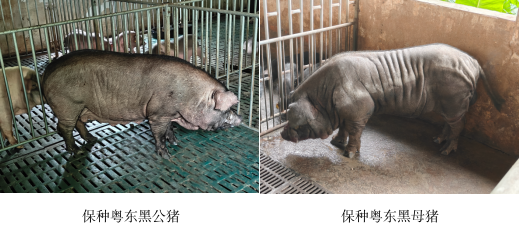 微信圖片_20240925122537.png
