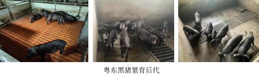 微信圖片_20240925122542.png